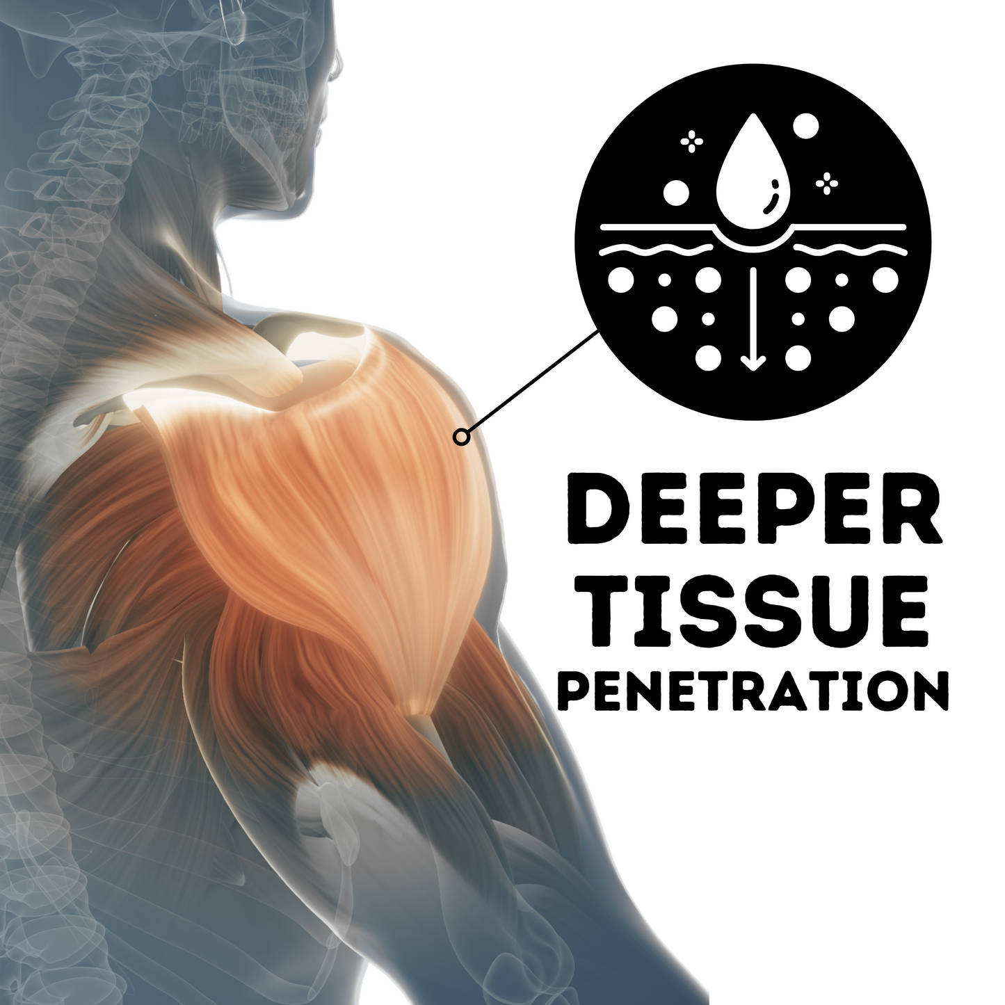 MuscleApe Serum X for Rapid Muscle Recovery |Deep Tissue Relaxation Serum| Post-Workout Muscle Serum for Elite Strength Athletes | 30ml pack. | | Muscleape