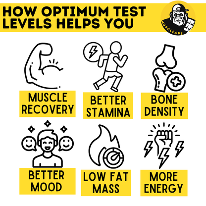 muscleape test max