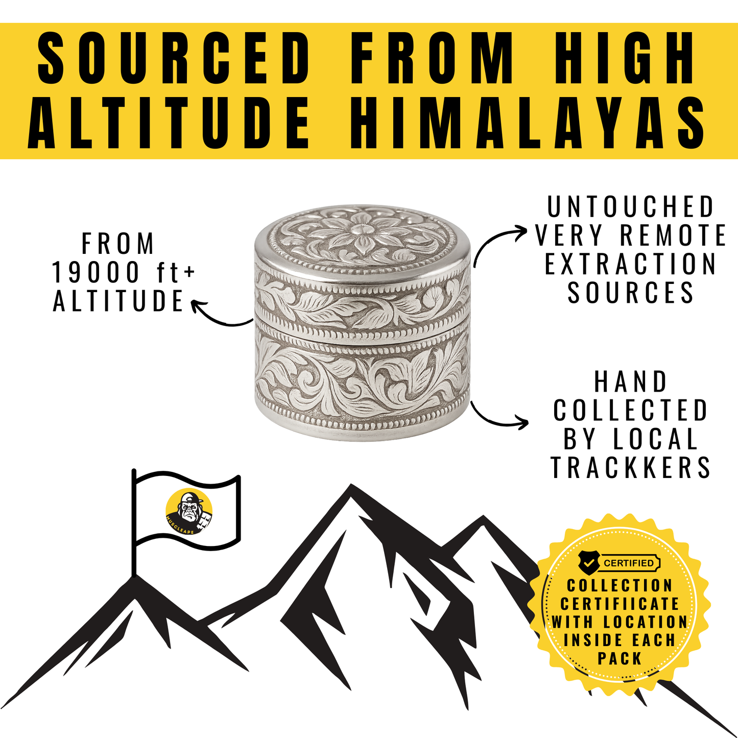 Muscleape Pure Himalayan Shilajit Resin (5 g) in Pure Silver Container | Enriched with Ashwagandha, Tribulus & 12+ Ayurvedic Herbs | 24K Gold Infused | Energy, Strength, Immunity & Vitality Support